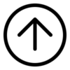 top vector